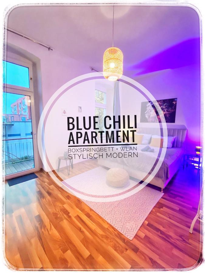 Blue Chili 04 - Md Top City Apartment - Wifi Maagdenburg Buitenkant foto
